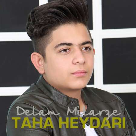 Taha Heydari – Delam Milarze